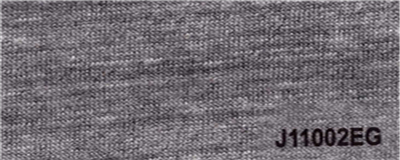 J11002EG