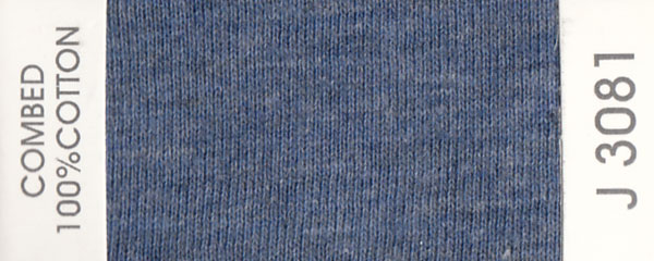 J3081